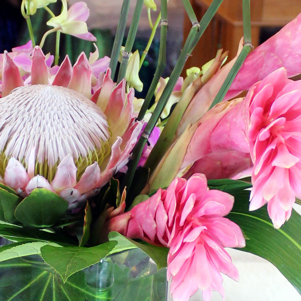 Tropic Sweetness