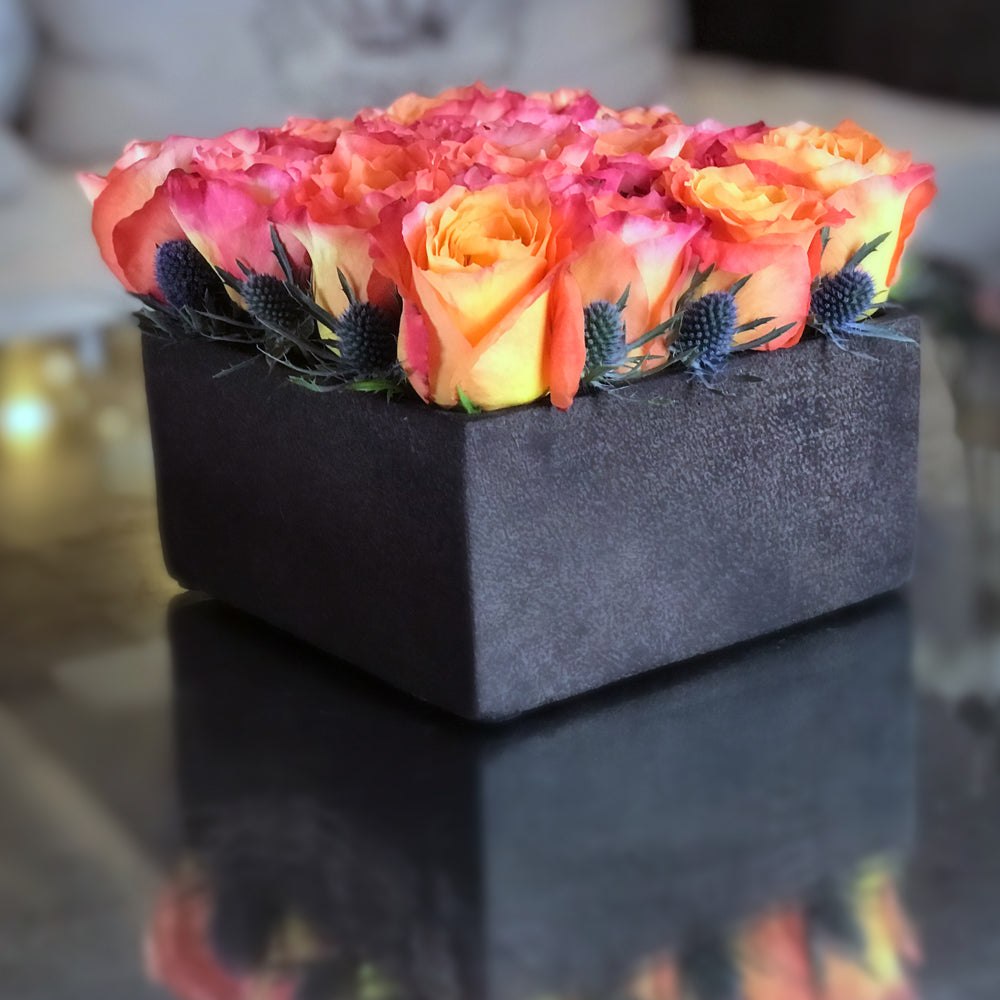 Gentlemen's Roses