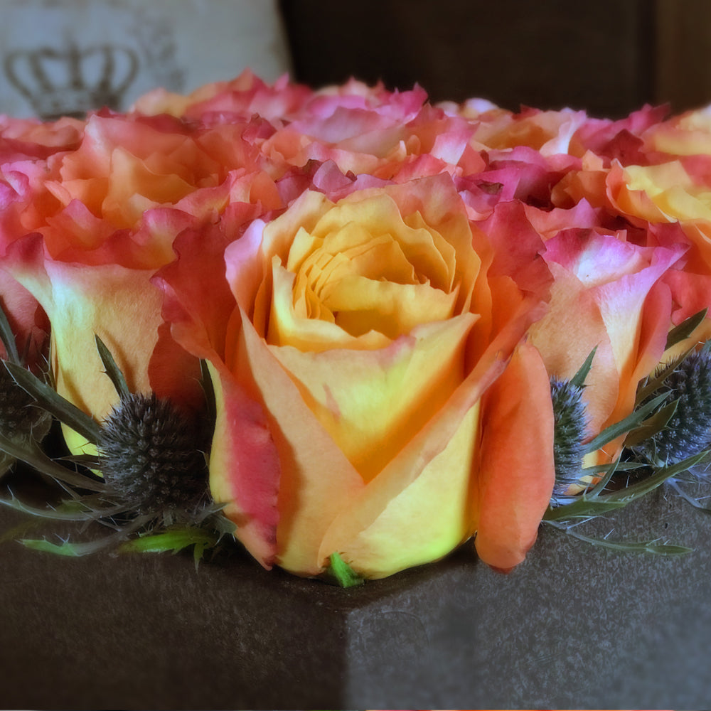 Gentlemen's Roses