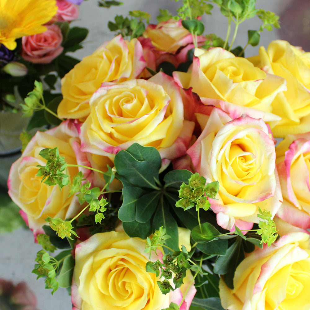 Surrounding You With Love