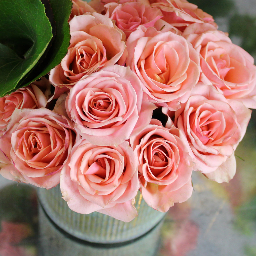 Surrounding You With Love