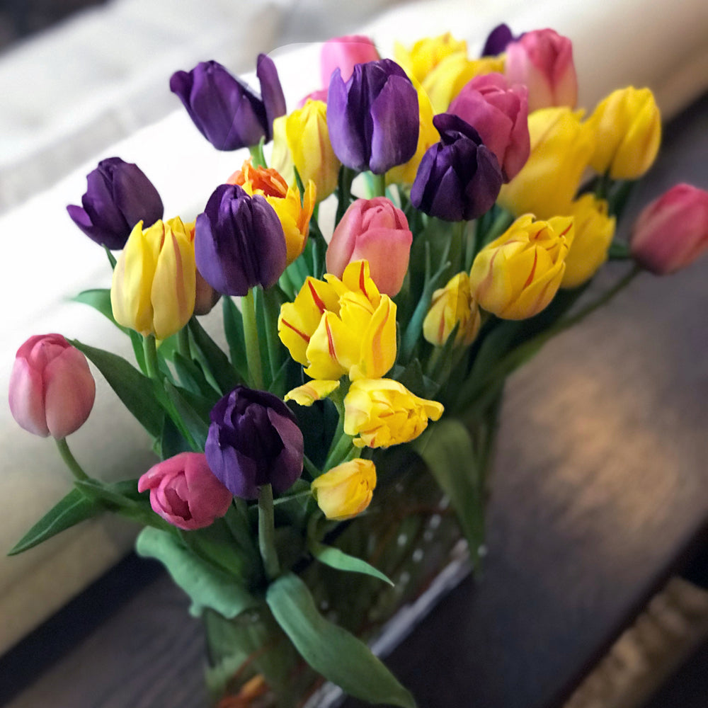Joy of Spring