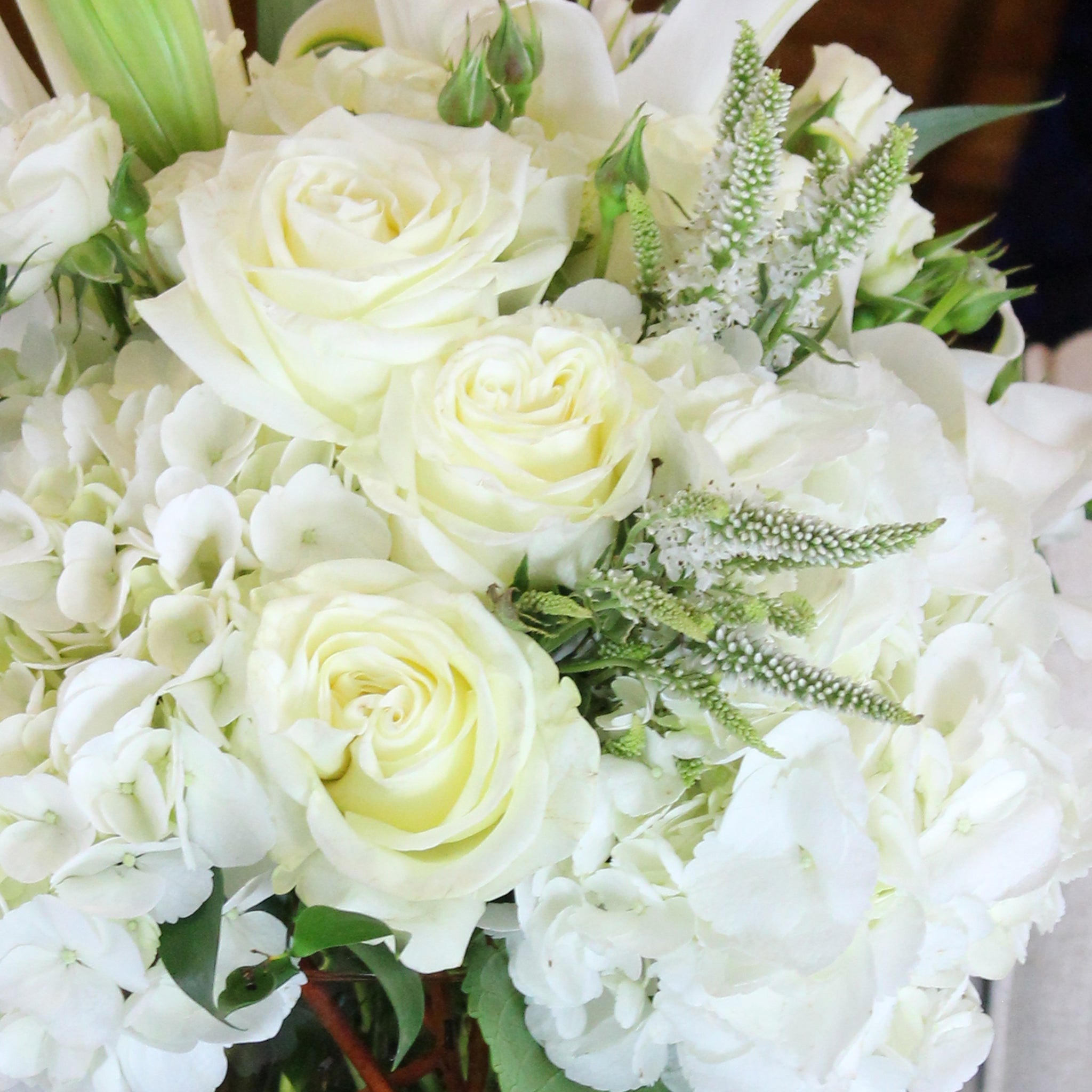Sophistication in White